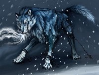 /album/fenykepgaleria/wolf3-jpg/