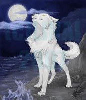 /album/fenykepgaleria/wolf4-jpg/